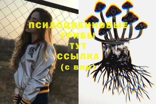 spice Горняк
