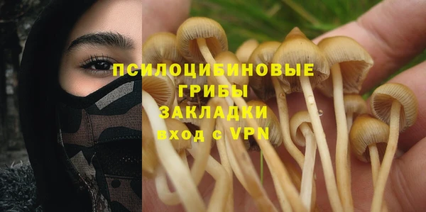 прущая мука Горно-Алтайск