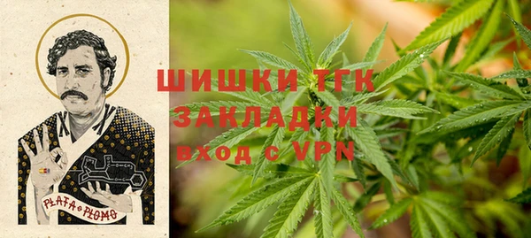 spice Горняк