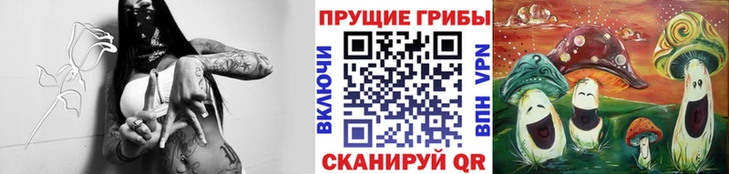 мориарти официальный сайт  Королёв  Галлюциногенные грибы мицелий  где продают   ОМГ ОМГ зеркало 